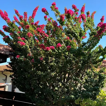 Le Caroubier Splendid 3 Bedrooms * Zanaja