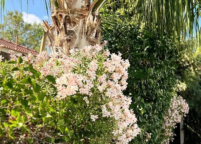 Le Caroubier Splendid 3 Bedrooms Zanaja